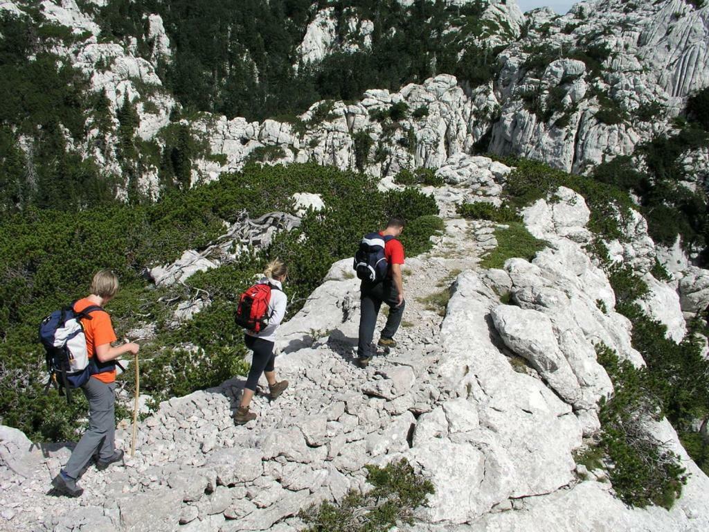 Apartmani Mate Vrban Karlobag Buitenkant foto